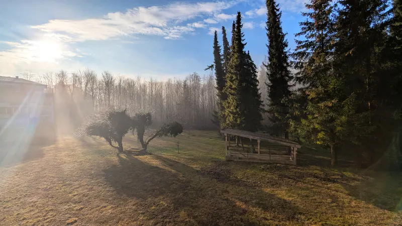Morgenstimmung im Naturschutzgebiet hinter dem Haus