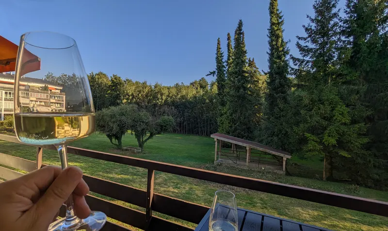 A glass of wine on the loggia overlooking the greenery
